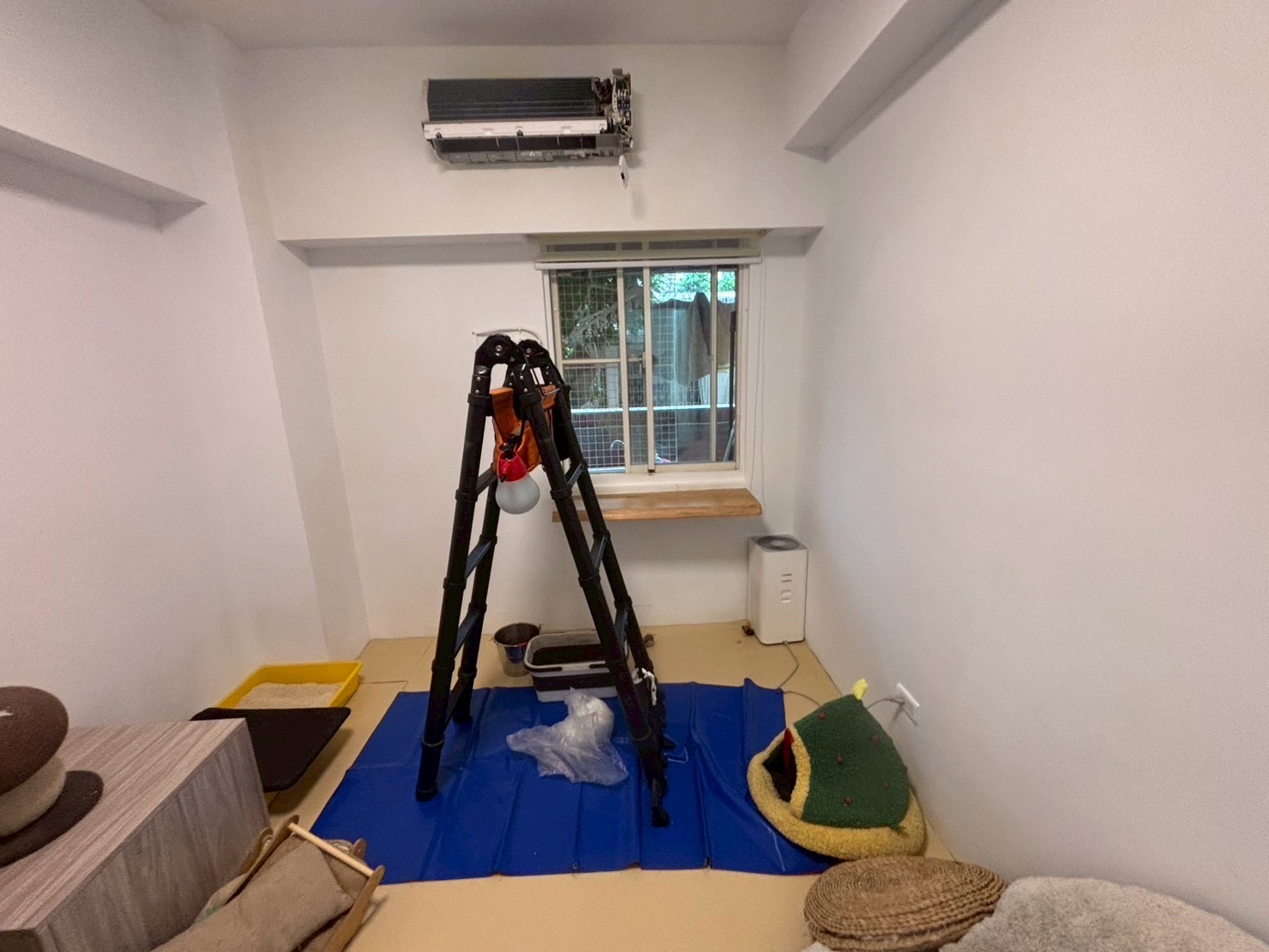 台中西區好牙動物醫院 分離式冷氣清洗