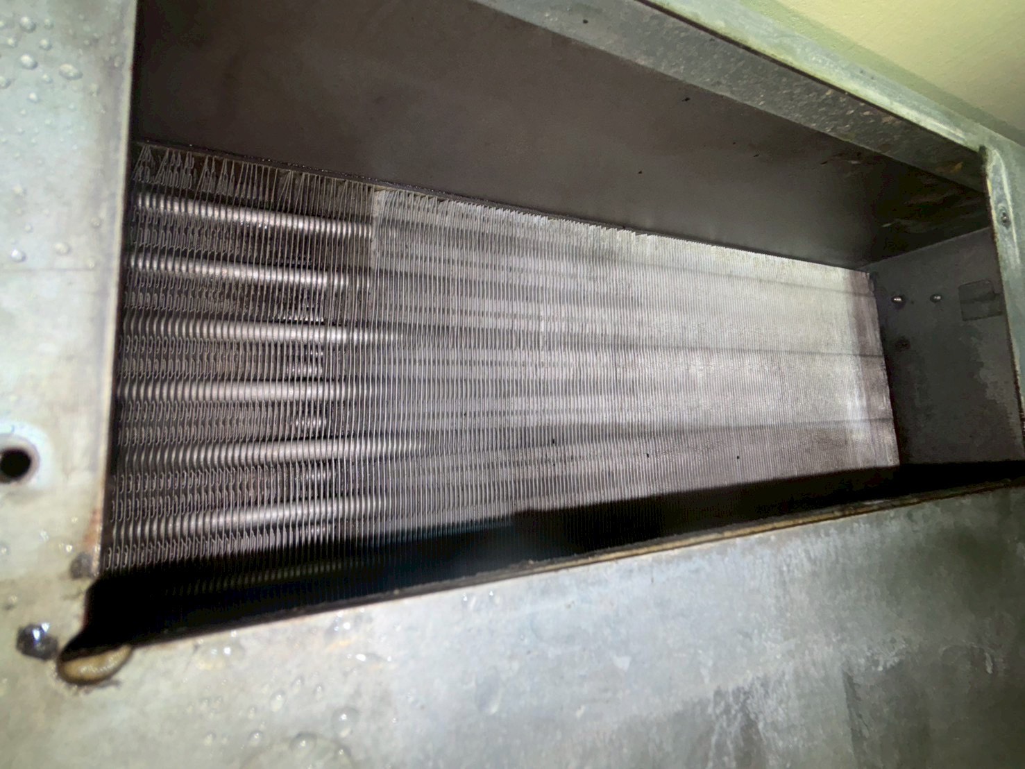 台中東埔牛排 吊隱式冷氣清洗