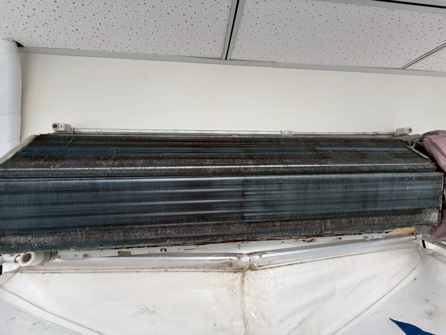 台中中興大學分離式冷氣清洗